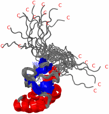 Image NMR Structure - all models
