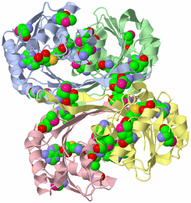 Image Biological Unit 1