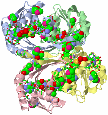 Image Biol. Unit 1 - sites