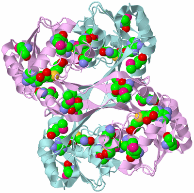 Image Biological Unit 2