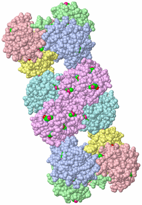 Image Biological Unit 3