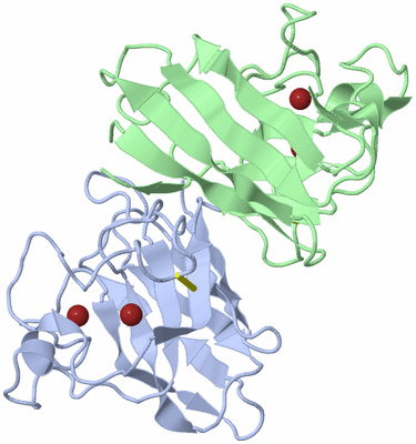 Image NMR Structure - model 1