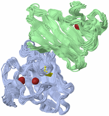 Image NMR Structure - all models