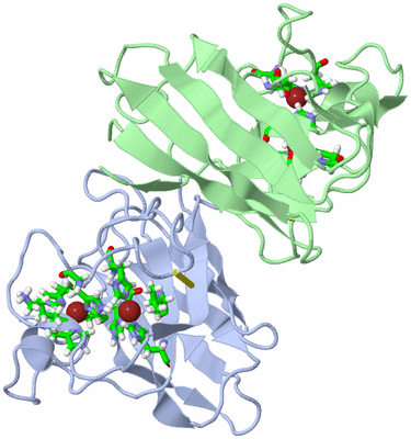 Image NMR Structure - model 1, sites