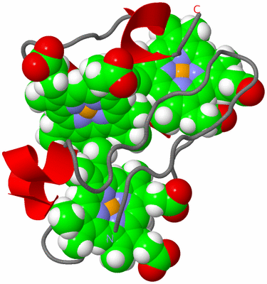 Image NMR Structure - model 1