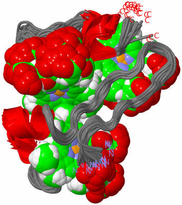 Image NMR Structure - all models