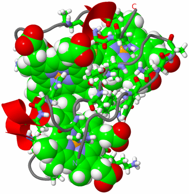 Image NMR Structure - model 1, sites