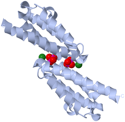 Image Biological Unit 1