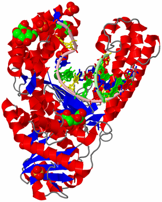 Image Asym./Biol. Unit