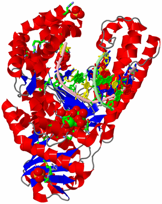 Image Asym./Biol. Unit - sites