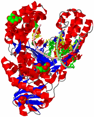 Image Asym./Biol. Unit