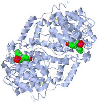 Image Biological Unit 1