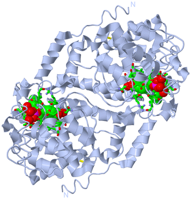 Image Biol. Unit 1 - sites