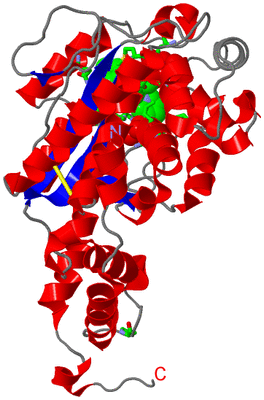 Image Asym. Unit - sites