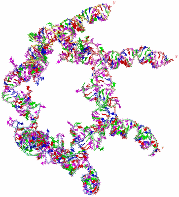 Image Theoretical Model