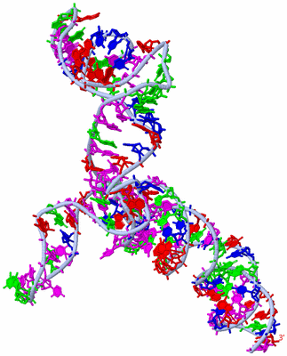 Image Theoretical Model