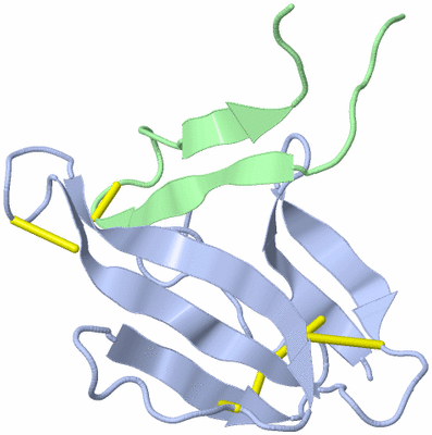 Image NMR Structure - model 1