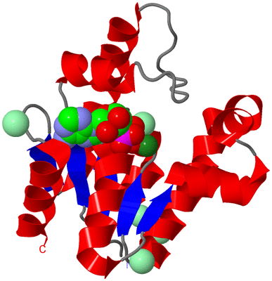 Image Asym./Biol. Unit