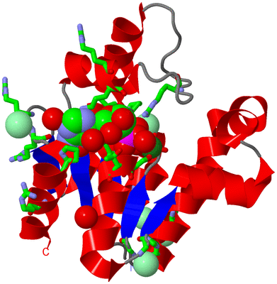 Image Asym./Biol. Unit - sites