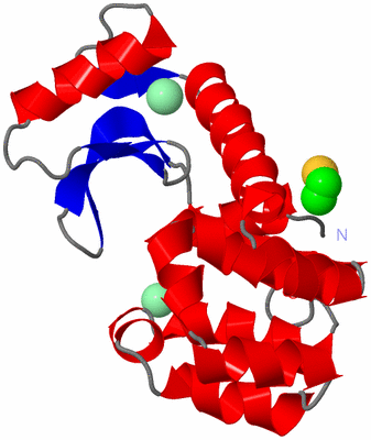 Image Asym./Biol. Unit