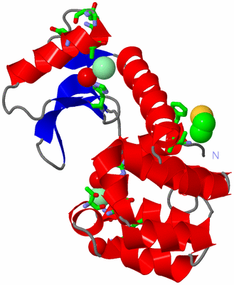 Image Asym./Biol. Unit - sites