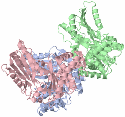 Image Asym./Biol. Unit