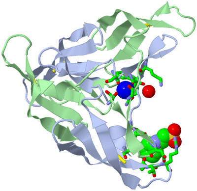 Image Asym./Biol. Unit - sites