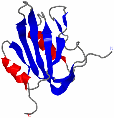 Image NMR Structure - model 1