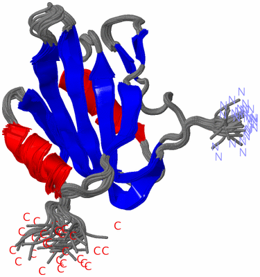 Image NMR Structure - all models