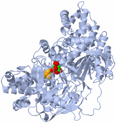 Image Biological Unit 1