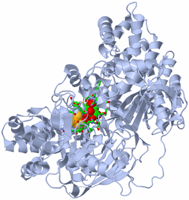 Image Biol. Unit 1 - sites