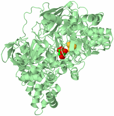 Image Biological Unit 2