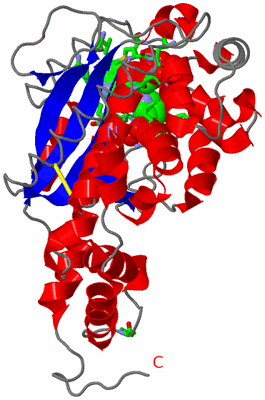 Image Asym. Unit - sites