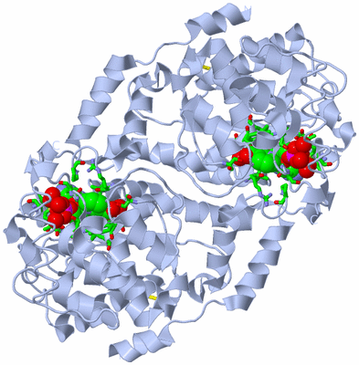 Image Biol. Unit 1 - sites