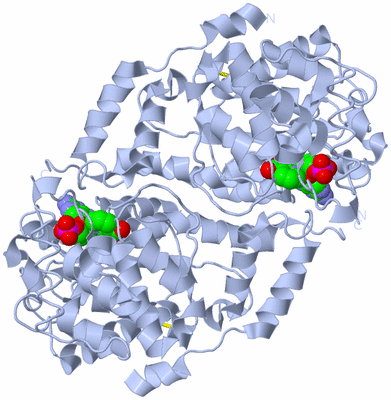 Image Biological Unit 1