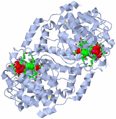 Image Biol. Unit 1 - sites