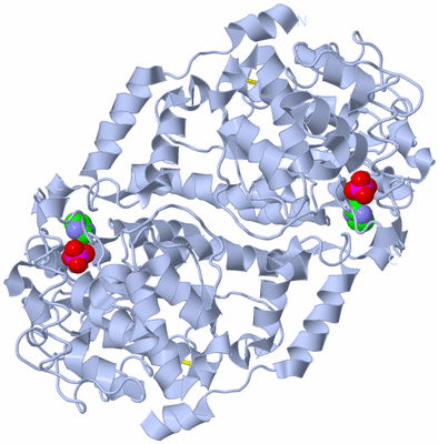 Image Biological Unit 1