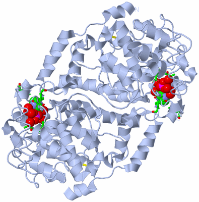 Image Biol. Unit 1 - sites