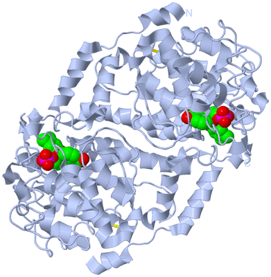 Image Biological Unit 1