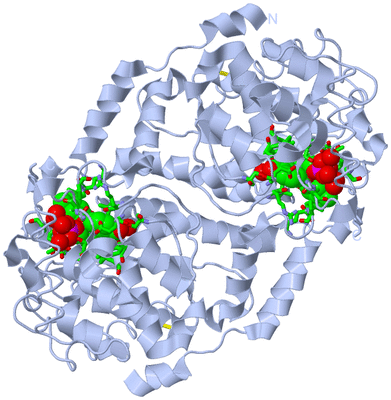 Image Biol. Unit 1 - sites