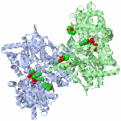 Image Biological Unit 2