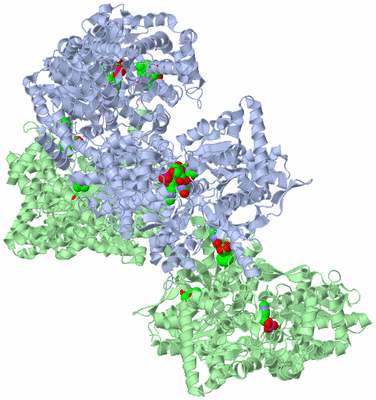 Image Biological Unit 1