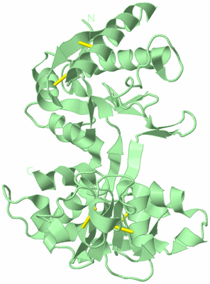 Image Biological Unit 2