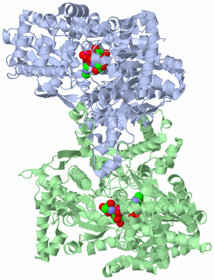 Image Asym./Biol. Unit