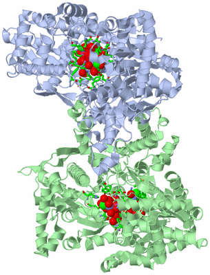 Image Asym./Biol. Unit - sites