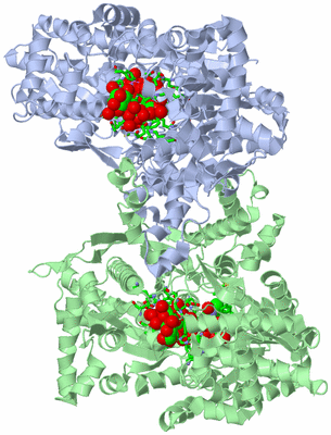 Image Asym./Biol. Unit - sites