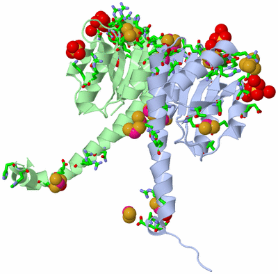 Image Asym./Biol. Unit - sites