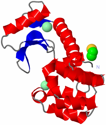 Image Asym./Biol. Unit
