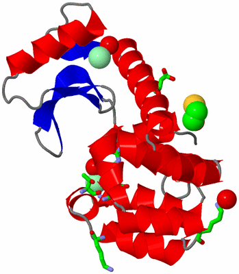 Image Asym./Biol. Unit - sites