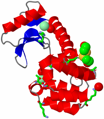 Image Asym./Biol. Unit - sites